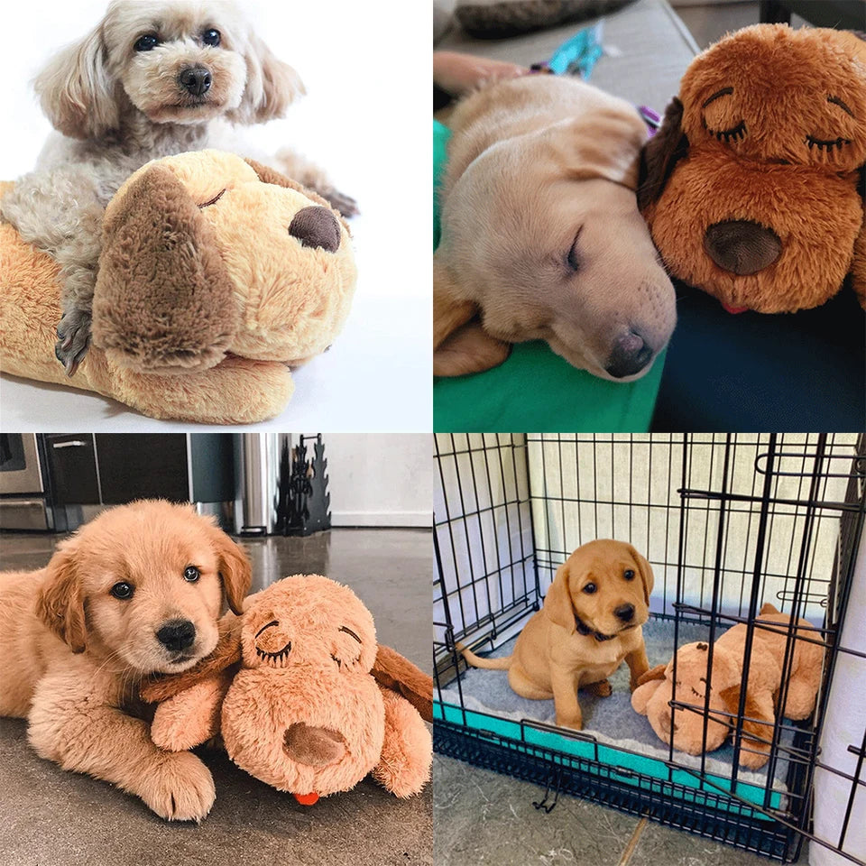 DogPlush 